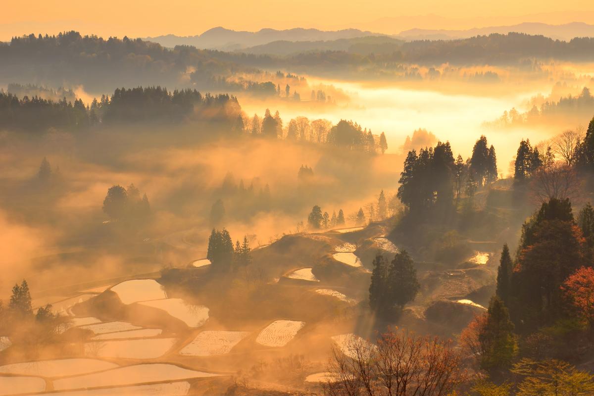 星峠の棚田 ピクスポット 絶景 風景写真 撮影スポット 撮影ガイド カメラの使い方