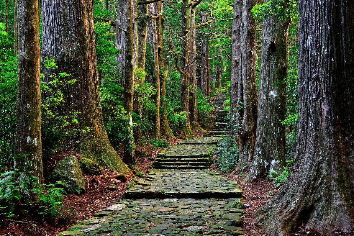 熊野古道 ピクスポット 絶景 風景写真 撮影スポット 撮影ガイド カメラの使い方