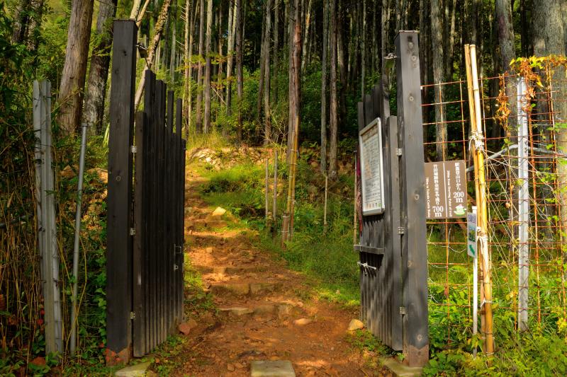 [ 駅裏登山道 ]  