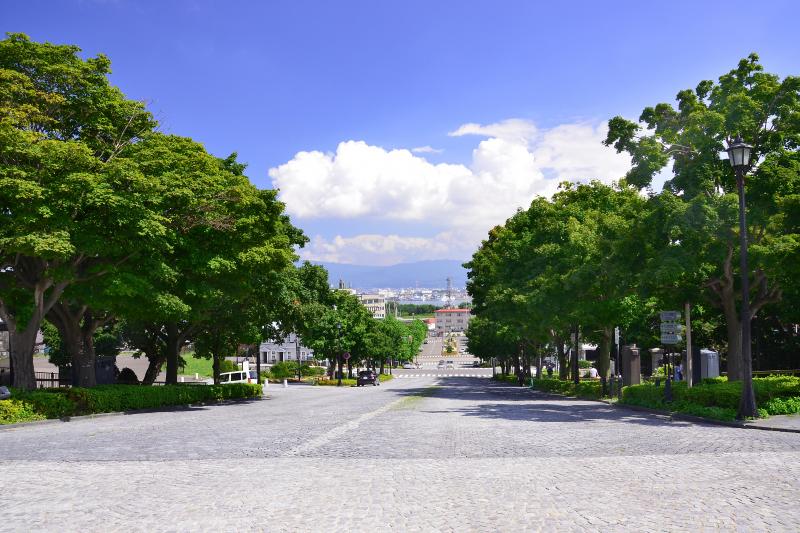 [ 基坂 ]  元町公園の下に広がる石畳の美しい坂です。