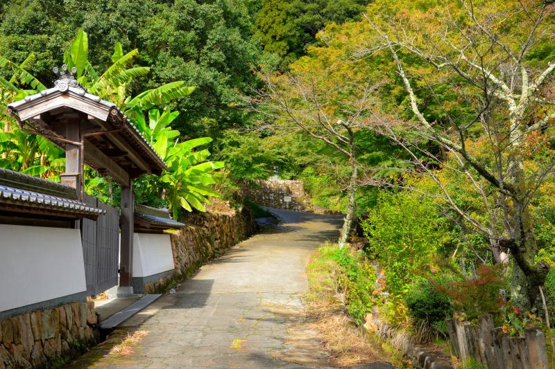 [ 駅裏登山道 ]  