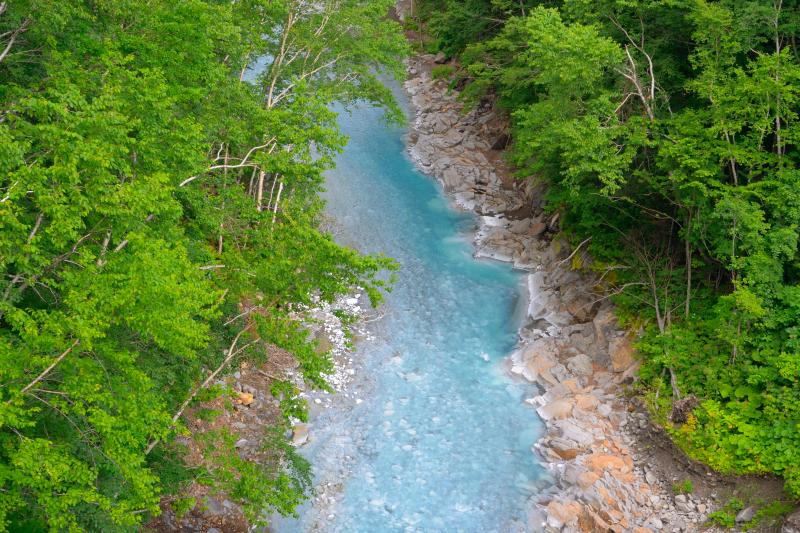 [ 美瑛川 ]  白ひげの滝は美瑛川に流れ込んでいきます。