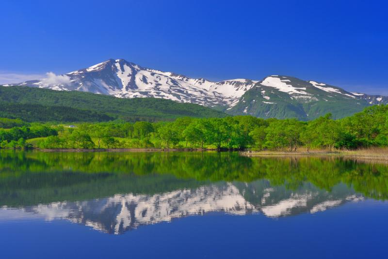 [ 扇谷地溜池 ]  新緑と残雪の鳥海山が綺麗でした。