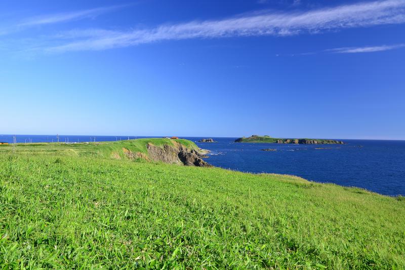 [ 礼文島スコトン岬 ]  礼文島最北端に位置するスコトン岬とトド島。初夏のすがすがしい空気に包まれた新緑と海の青が印象的でした。