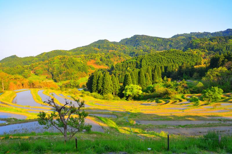 [ 大山千枚田 ]  