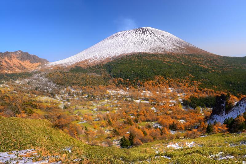 [ 草すべり ]  草すべりから見た冠雪の浅間山直下に広がるカラマツ林の黄葉