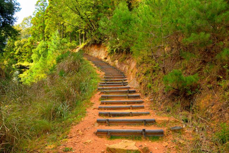 [ 駅裏登山道 ]  