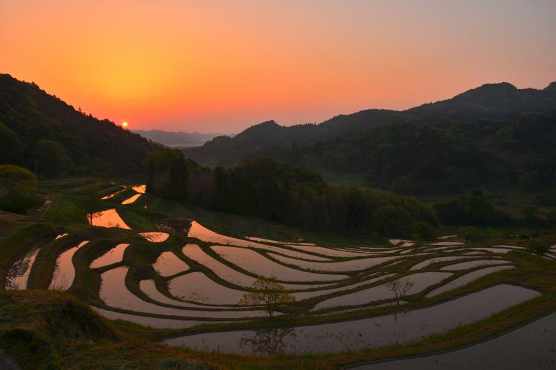 [ 棚田の夜明け ]  朝日が入る時間帯も綺麗です。