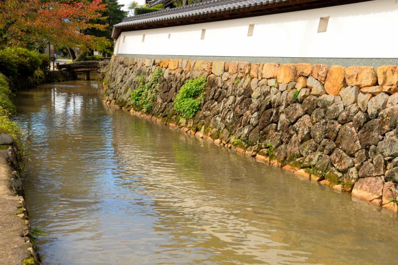 [ 駅裏登山道 ]  