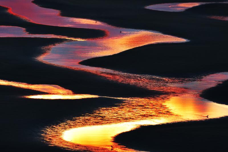 新舞子浜 | 新舞子浜の夜明け。干潟に映り込む朝の光が幻想的。