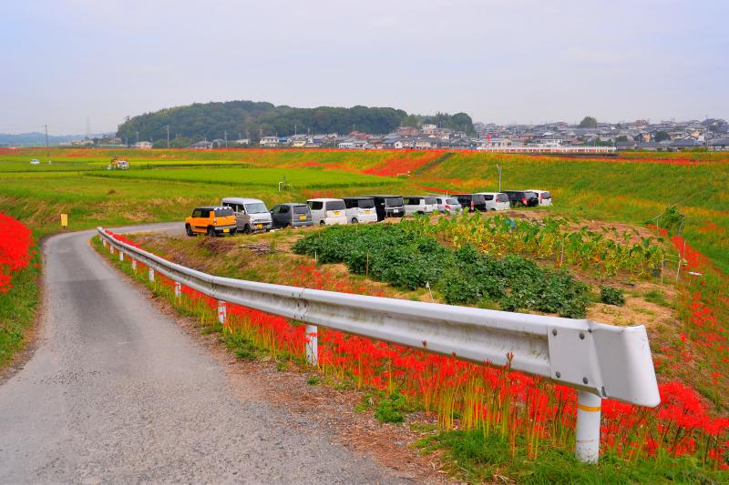 [ 矢勝川 ]  