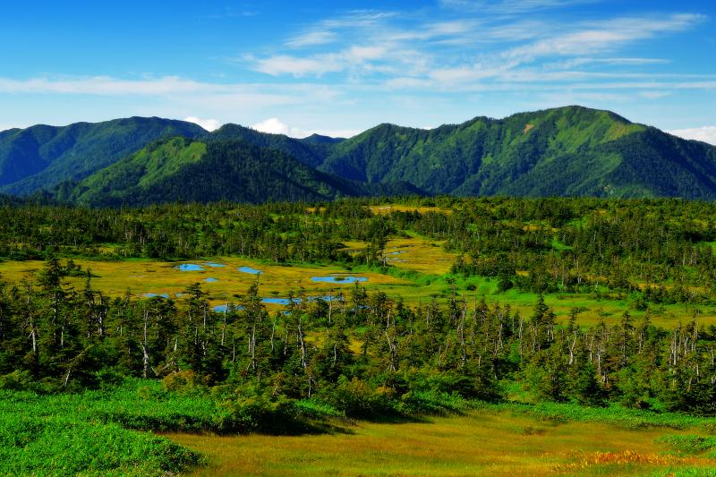 [ 山頂の眺め ]  山頂付近からは苗場山の雄大な高層湿地帯を俯瞰できます。また木道が整備されているので快適に池塘群を散策できます。