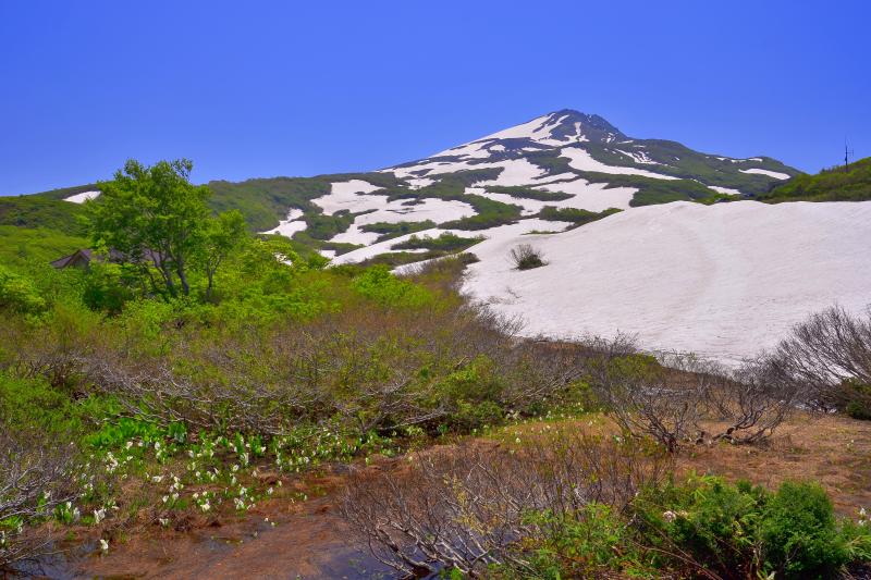 鳥海国定公園 日本百名山 鳥海山 周辺の撮影スポット ピクスポット 絶景 風景写真 撮影スポット 撮影ガイド カメラの使い方