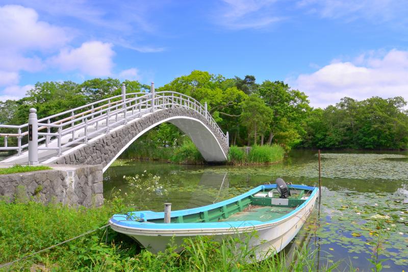 [ 大沼公園 ]  