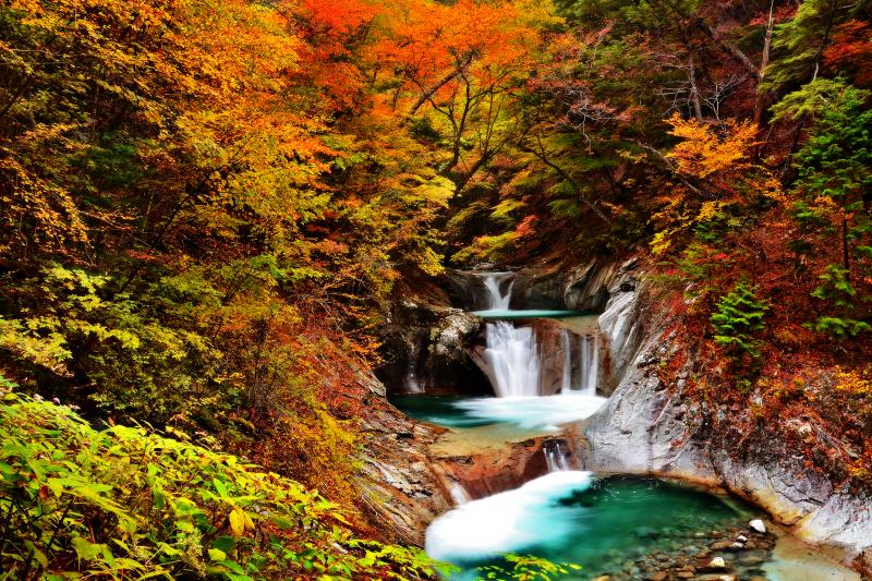 [ 錦秋の七ツ釜五段ノ滝 ]  10月下旬の西沢渓谷。錦秋の紅葉に囲まれた渓谷美。エメラルドグリーンの清流が秋色に映えていました。