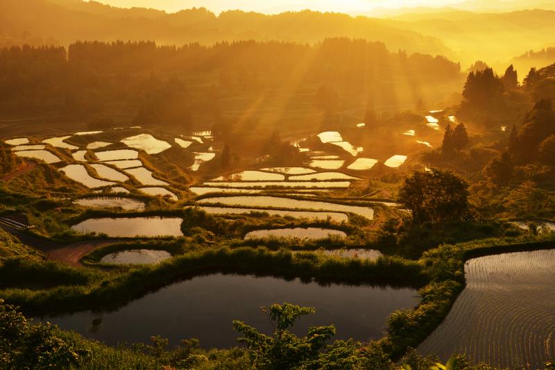 星峠の棚田 ピクスポット 絶景 風景写真 撮影スポット 撮影ガイド カメラの使い方