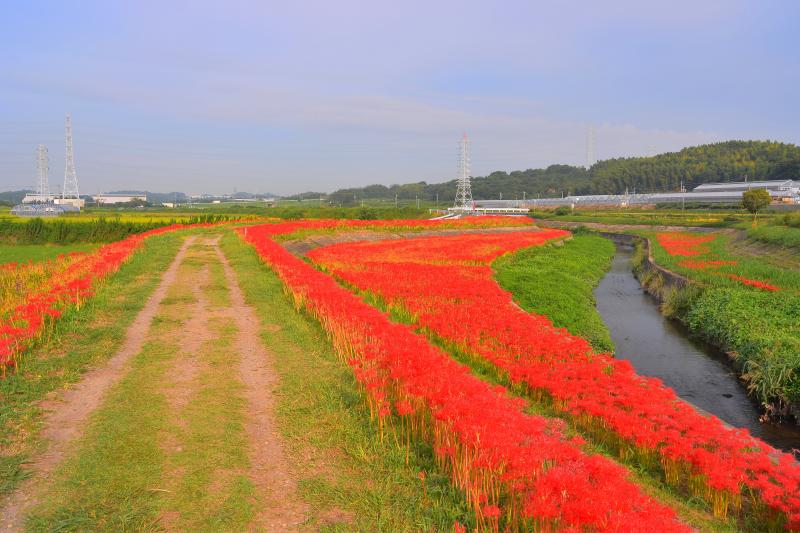 [ 矢勝川 ]  