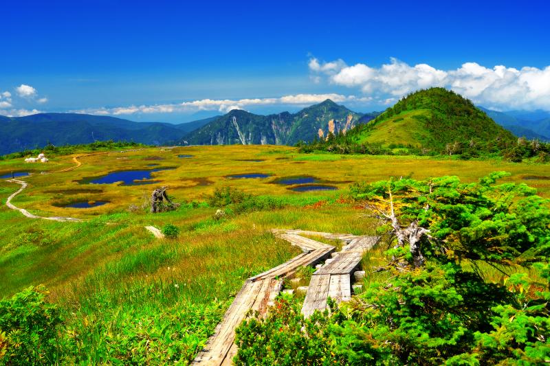 [ 晩夏の苗場山 ]  最短ルートである秋山郷小赤沢の三合目登山口から約2時間半、9合目手前に広がる池塘群。遠くに鳥甲山が見えます。山頂の池塘群までもう少しです。