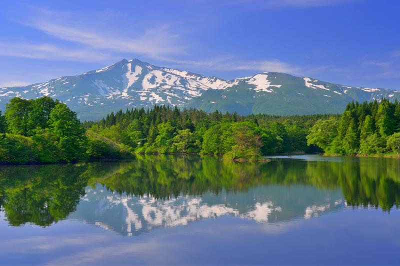 [ 大潟溜池 ]  小さな中島のある美しい池です。