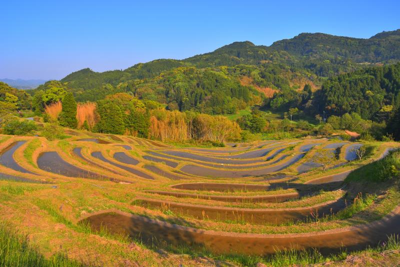 [ 大山千枚田 ]  