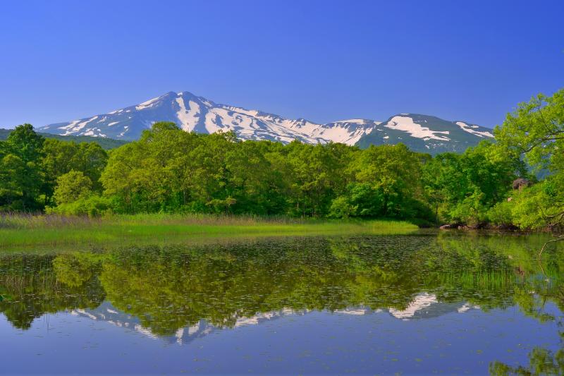 [ 扇谷地溜池右岸 ]  水草の綺麗な湖畔です。