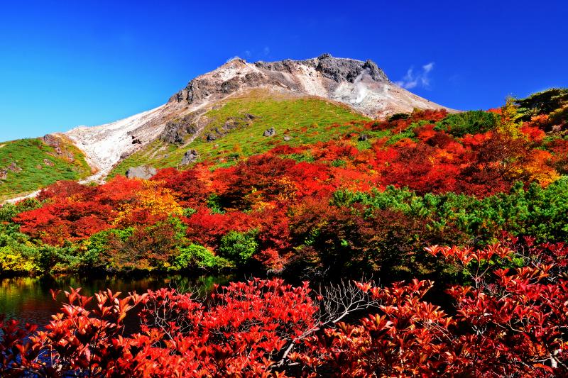 [ 那須茶臼岳の紅葉 ]  姥ヶ平のひょうたん池から見た茶臼岳。満天星ツツジの紅葉が見事でした。