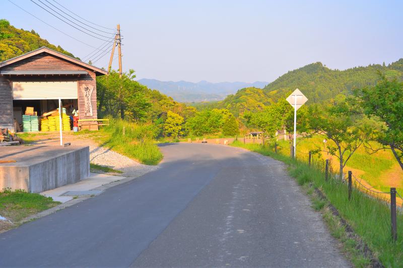 [ 大山千枚田 ]  