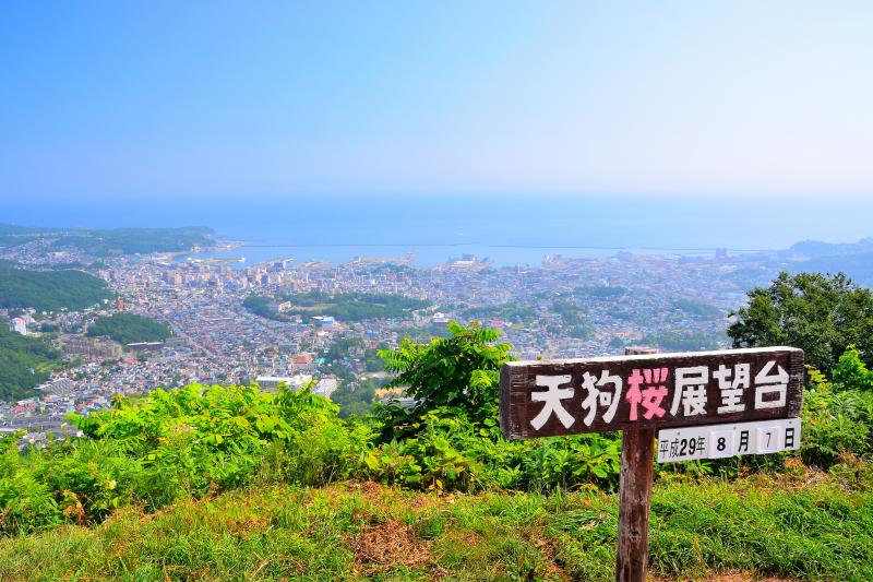 [ 小樽の夜景 ]  