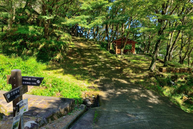 [ 駅裏登山道 ]  