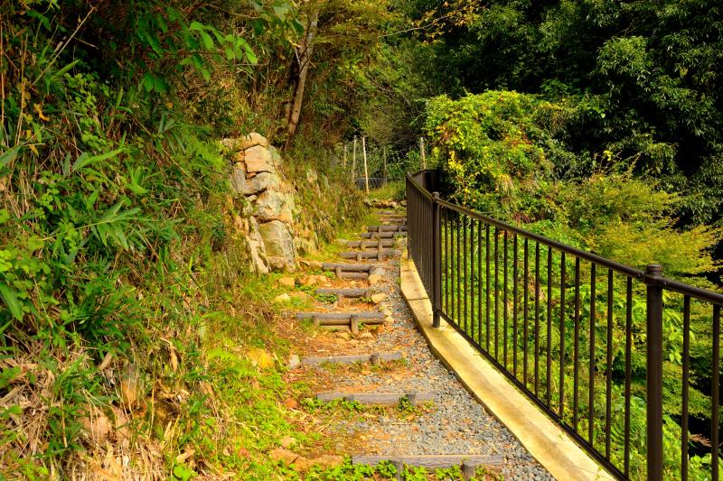 [ 駅裏登山道 ]  