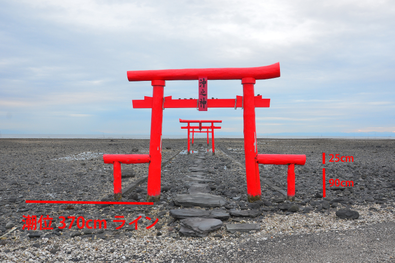 [ 大魚神社 ]  