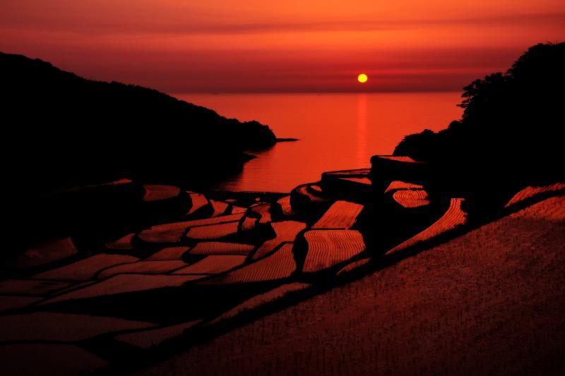 [ 浜野浦棚田 ]  玄界灘に沈む夕日が棚田を紅に染めていました。