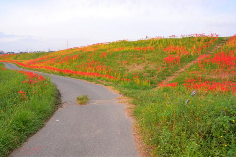 [ 矢勝川 ]  