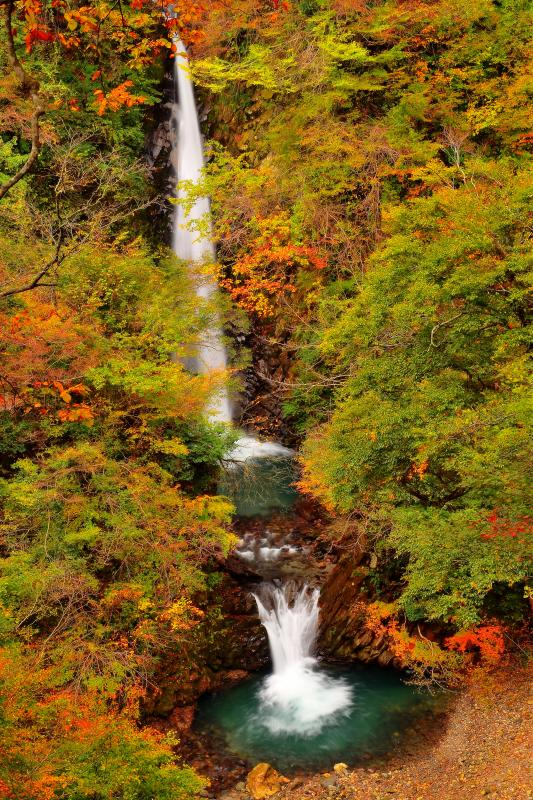 [ 大山滝紅葉 ]  秋の大山滝は静寂な空気に包まれていました。