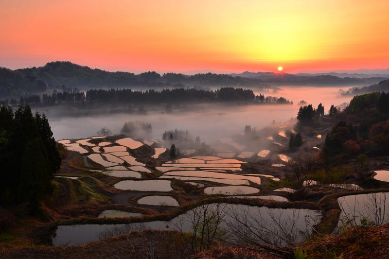 星峠の棚田 ピクスポット 絶景 風景写真 撮影スポット 撮影ガイド カメラの使い方