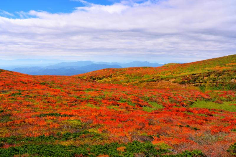 [ 栗駒山 ]  