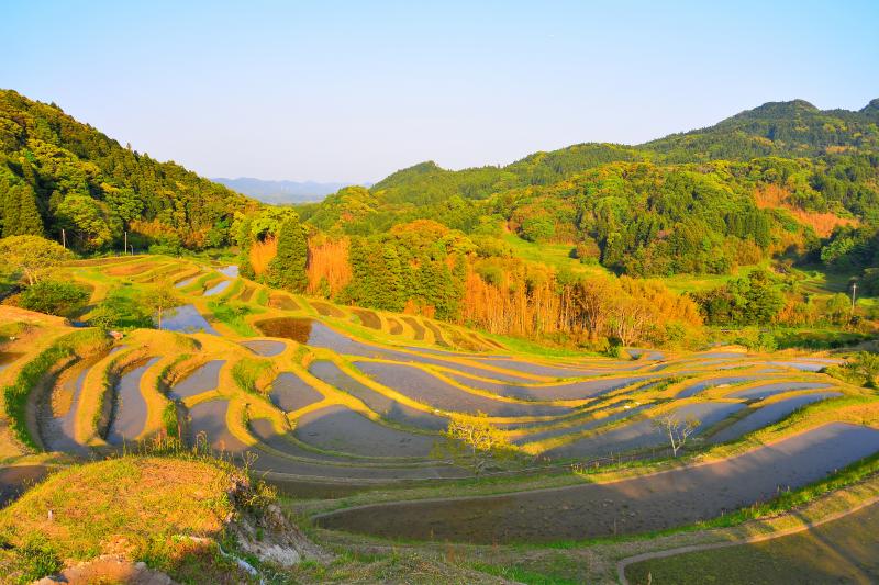 [ 大山千枚田 ]  