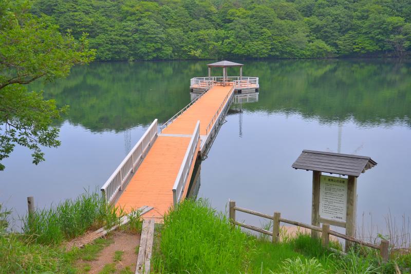 [ 鳥海高原 ]  