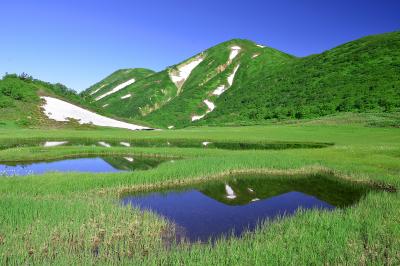 高野池から約30分程で天狗の庭に着きます。天狗の庭は火打山頂直下に広がる高層湿原です。この辺りは木道が整備されているので非常に歩きやすいです。