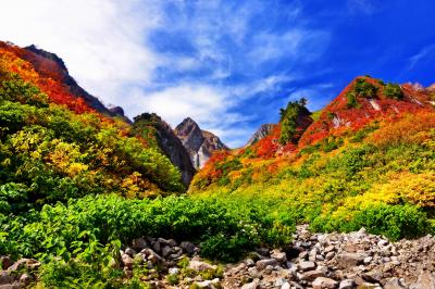 荒菅沢より望む布団菱の紅葉| 先ほどのビューポイントから少し下ると荒菅沢に着きます。解放感抜群の休憩場所で、布団菱の紅葉が目に飛び込んできます。透き通る青空と色鮮やかな紅葉のコントラストが印象的。