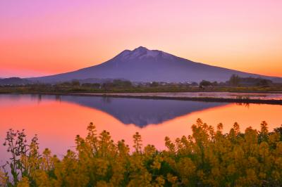 あぜ道の菜の花越しに水田に映り込む岩木山が綺麗です。