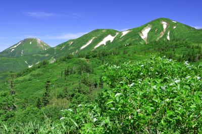 残雪の火打山と焼山| 笹ヶ峰の登山口から火打山直下の天狗の庭を目指します。まずは富士見平まで約２時間。そこを過ぎると目の前に残雪を抱いた火打山と焼山が目に飛び込んできます。