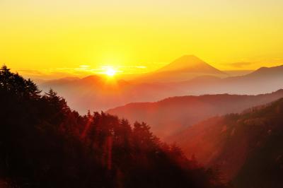 夜明けの斜光に輝く富士山が綺麗でした。