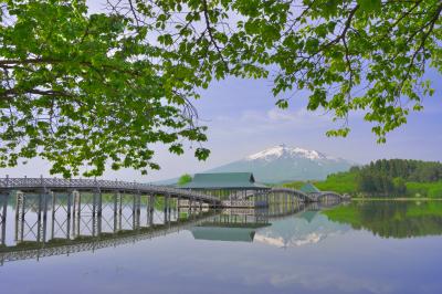 湖畔沿いの木々の新緑も綺麗です。