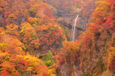 燕温泉から徒歩約１０分で展望台へ。そこからは複雑な地形と錦秋の紅葉に囲まれた雄大な惣滝が望めます。