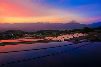 富士山の見える棚田。朝焼け雲が棚田に映り込む瞬間が美しい。