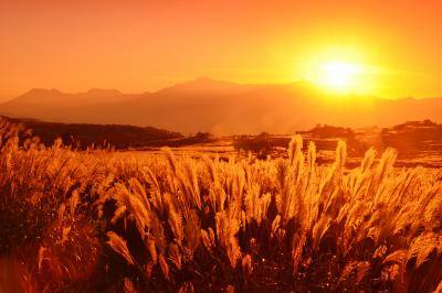 光ヶ原| 夕刻の光を浴びたススキの野原が印象的