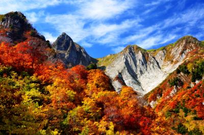 雨飾山 錦秋| 雨飾高原キャンプ場から登山道を約1時間半歩くと、荒菅沢手前のビューポイントに着きます。ここからは赤と黄色に彩られた雨飾山の眺望が楽しめます。