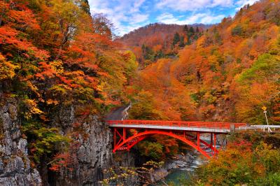 前倉橋 秋模様| 錦秋の中津川に掛かる赤い欄干が素敵