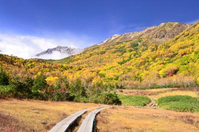 大雪渓から湧き上がってくる雲海が白馬岳を隠そうとしていました。秋とはいえ山の天気は油断できません。